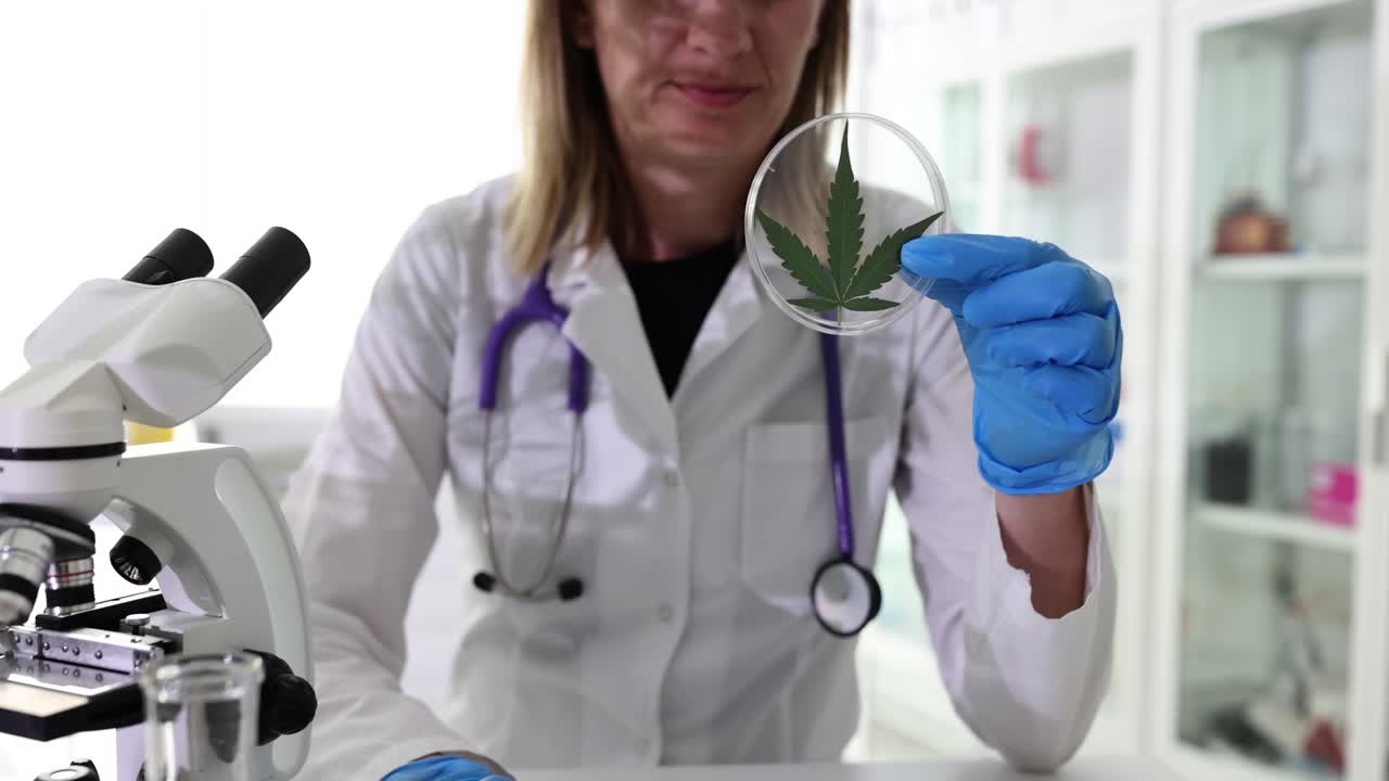 Cannabis Research in the Laboratory