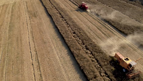 two combine harvesters wotking together to collect the barley crops in mlynary poland