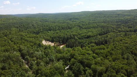 Luftaufnahme-über-Big-Bend,-Fantastischer-Geologischer-Fluss,-Der-Sich-Durch-Die-Bäume-Schneidet