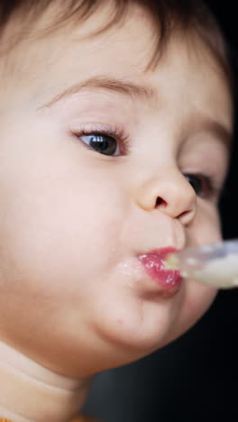 portrait of a lovely toddler being fed from spoon. mother giving a spoon full of cottage cheese to her son and he takes it willingly. close up. vertical video