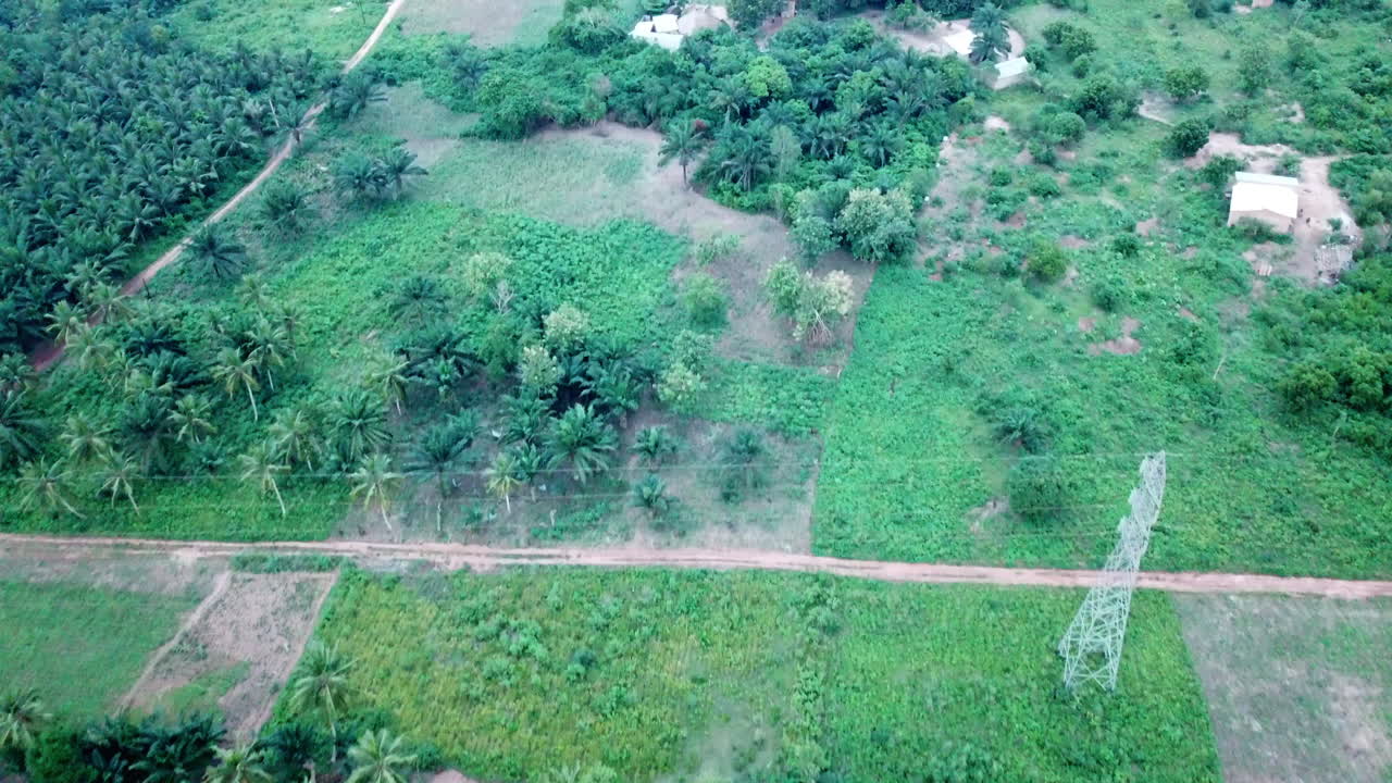 아프리카 베닌 의 울창 한 환경 에 있는 마을 위 를 날아다니는 것