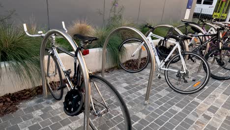 bicycles parked in a designated area at university