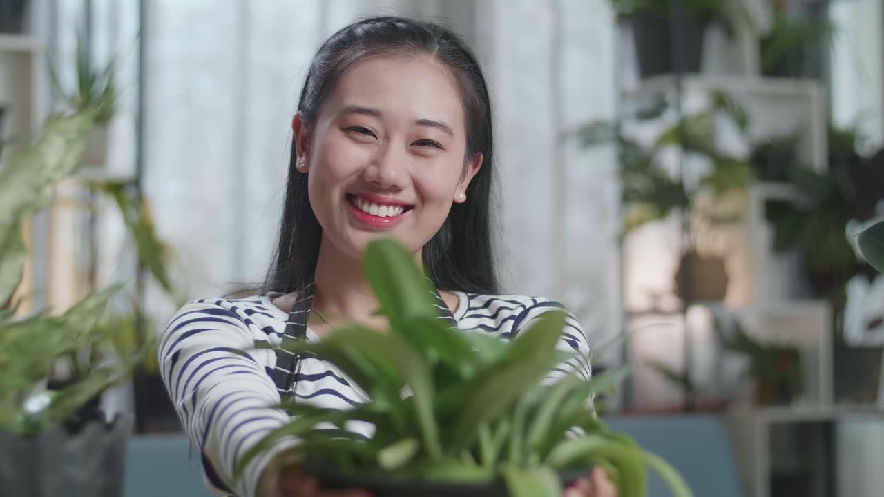 미소 짓는 아시아 여성이 집에서 카메라에 식물을 들고 보여주고 있습니다.