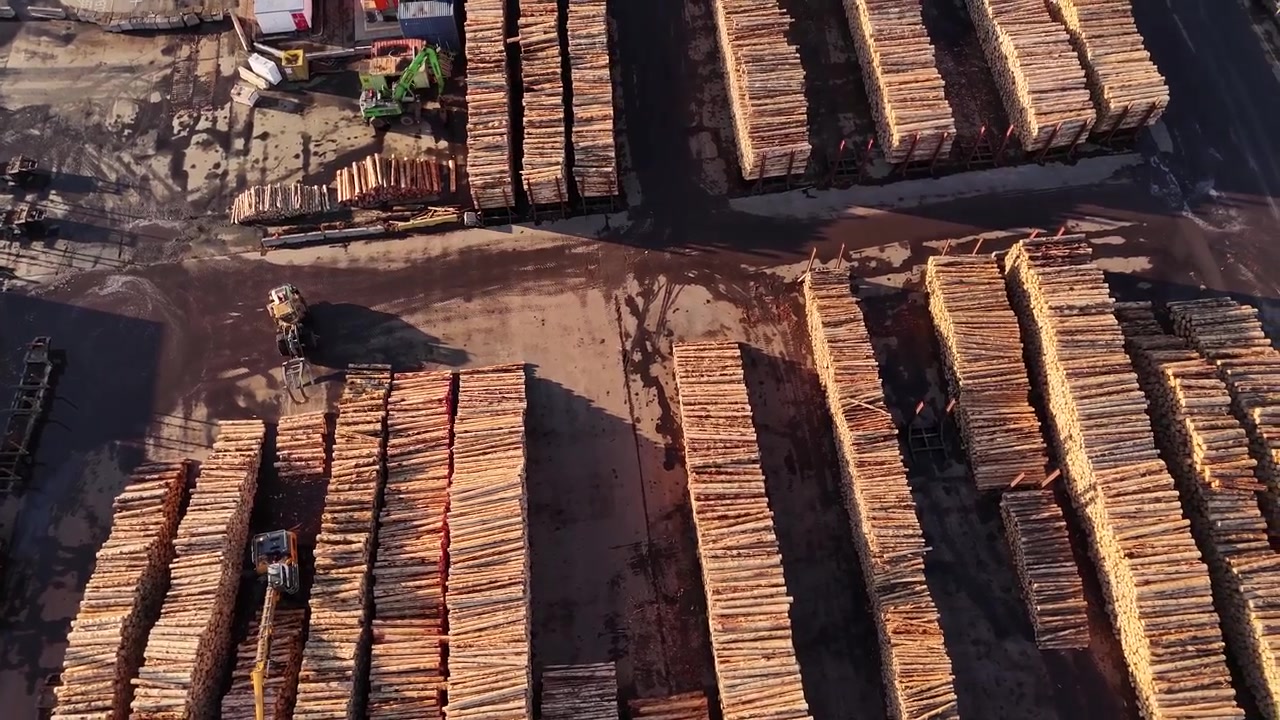 Stacks of timber in shipping port being transported by crane and wheel loader, top down aerial shot