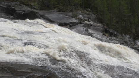 crazy river deep in the forest