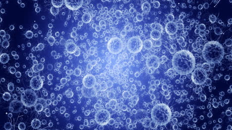 microscopic view of cells and viruses