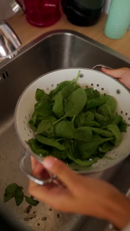 washing spinach in a kitchen sink