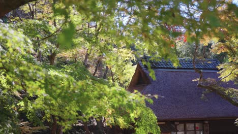 Autumn-Scene-in-Japan,-Thatched-Roof-Tea-house-in-Beautiful-Park-4k