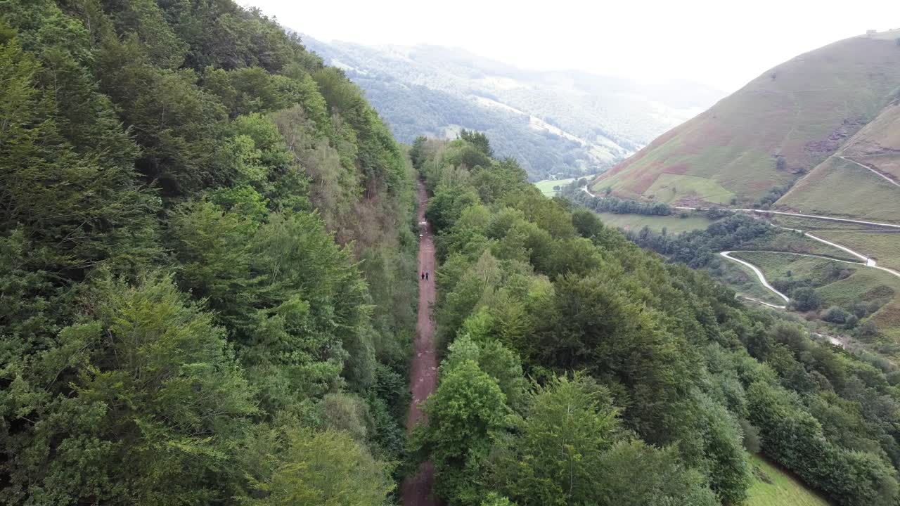 People trekking through green forest in mountains