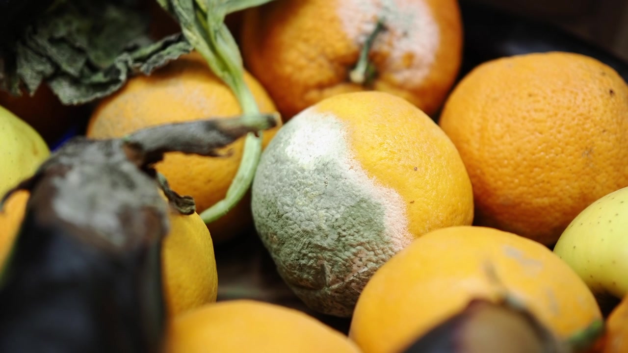 Primer plano de una naranja en descomposición con moho verde