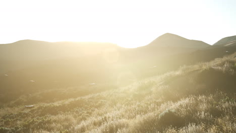 sunset over the valley fields