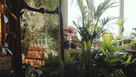 Mirror-among-Green-Plants-in-Flower-Shop