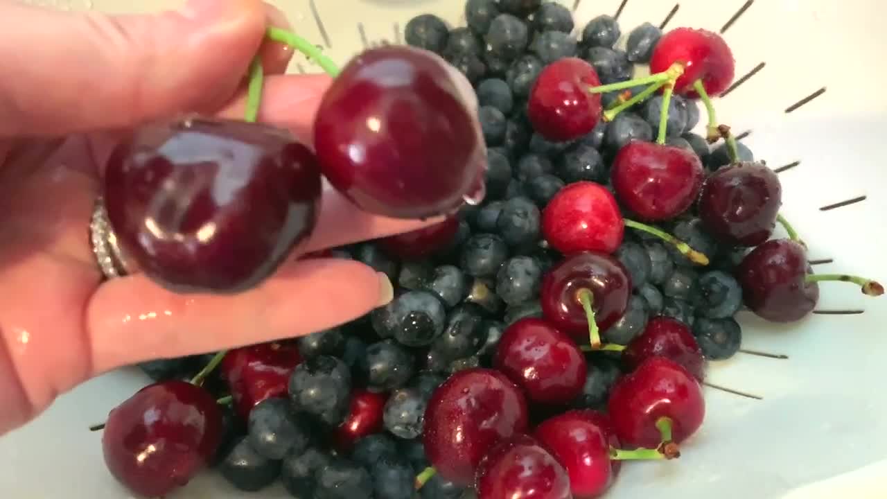 Fresh picked cherries and blueberries washed, clean, and ready to eat. Spring 2020. Berry picking season. Hand holding up a pair of cherries closely to the camera.