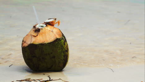 coconut by the sea with female hand putting a straw there