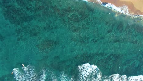 aerial birdseye rising from papailoa beach, surfers and tourists enjoying sunny day