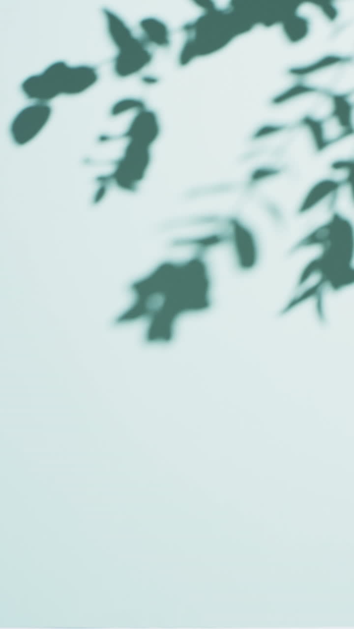 Vertical video of shadow of twigs with leaves moving with copy space over blue background