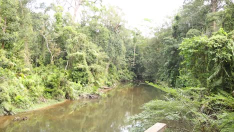 serene journey along a calm forest river