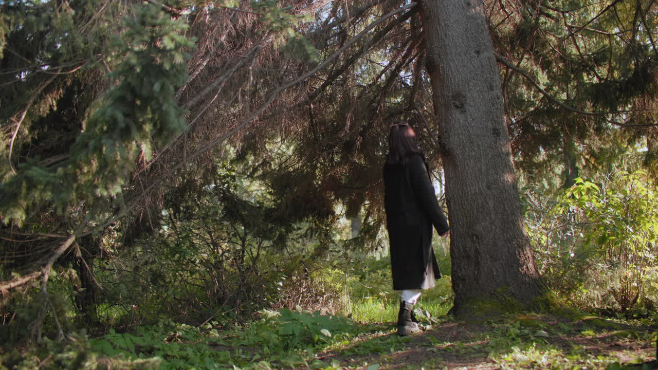 Una joven camina suavemente hacia un pino, apoya la mano en el tronco y admira las imponentes ramas bajo la cálida luz del sol, da pasos lentos a través de un claro del bosque con un abrigo de invierno y botas, conectando con la naturaleza.