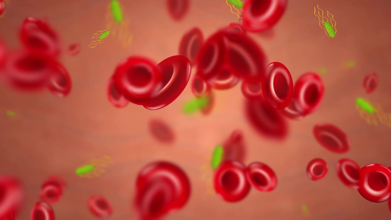 Globuli rossi e batteri verdi che fluttuano attraverso una vena in questo loop medico continuo