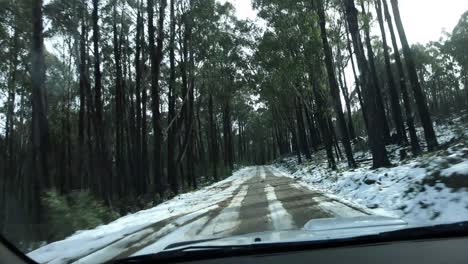 Point-of-view-shot-four-wheel-driving-through-a-remote-Australian-forest-in-the-middle-of-the-snow
