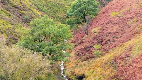 slow moving moorland stream flowing gently on the pennine moors, aerial drone video with small waterfalls,river and heather covered valley