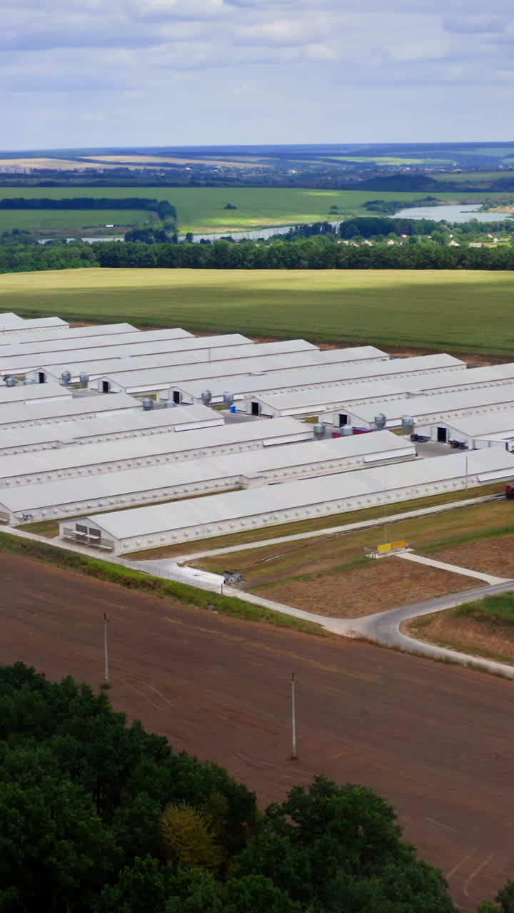Large farm in rural place in summer. Modern agricultural buildings surrounded by amazing nature in the countryside. Aerial view. Vertical video