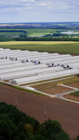 large farm in rural place in summer. modern agricultural buildings surrounded by amazing nature in the countryside. aerial view. vertical video