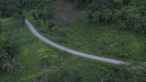 motorbike driving on small local indonesian road surround by palm trees at sumba island, aerial