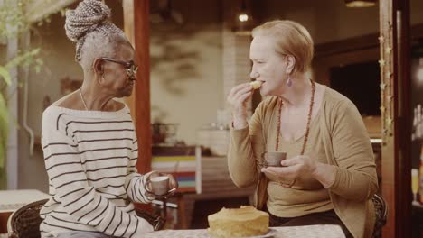 two elderly women enjoying tea and cake outdoors