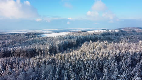 Aerial-Flying-Towards-Pine-Forest-Woods-With-Sunny-Sky-In-Background-During-Winter-In-Jorat-Woodlands,-Canton-Of-Vaud,-Switzerland