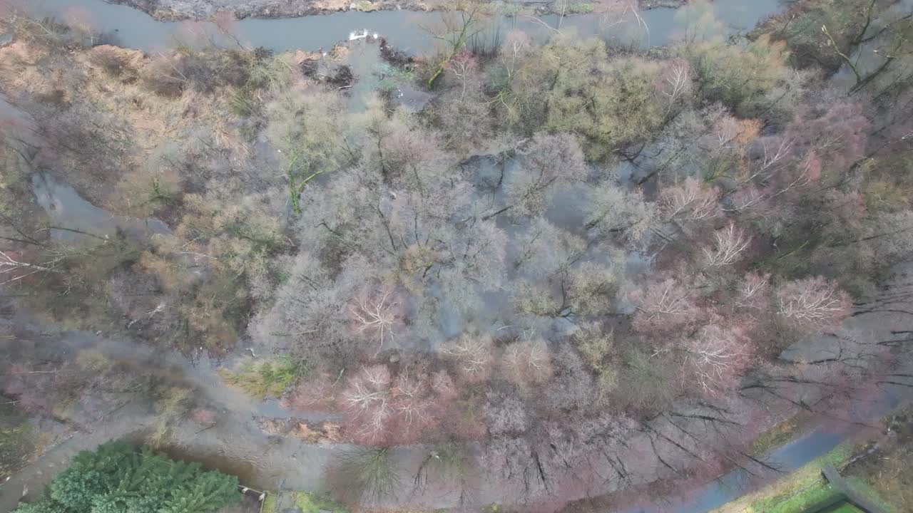 시골 지역의 습지, 강 및 벌거벗은 나무 숲의 위에서 아래로 볼 수 있습니다.