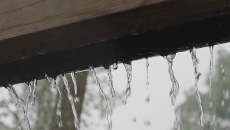 gutter overflowing in very heavy rain during thunderstorm with trees background