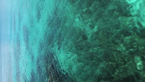 aerial view over corals in shallow, turquoise waters of new caledonia - low flyover