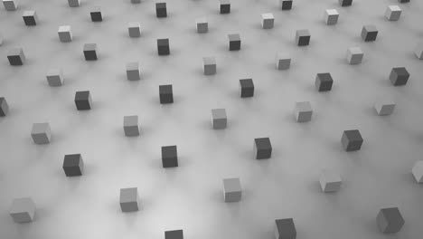 animation of 3d cubes on pale grey background