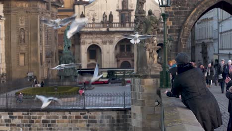 tourists watching and feeding flying seagulls,charles bridge,prague.