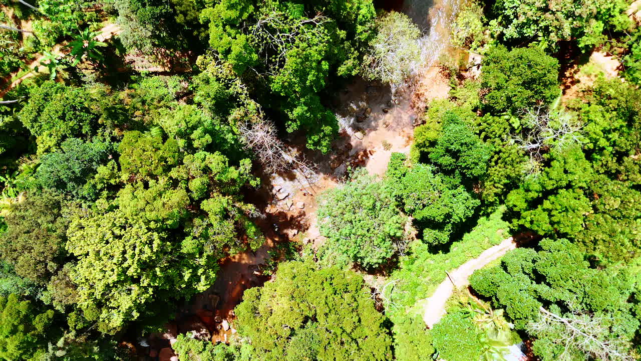 Shallow river flowing by the rocks among the trees. Drone footage above the nature of Sri Lanka.