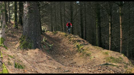 Mountain-biker-riding-bicycle-in-forest