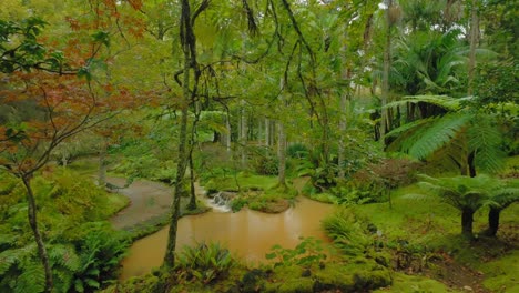 terra nostra park in são miguel, azores: stunning scenic nature view