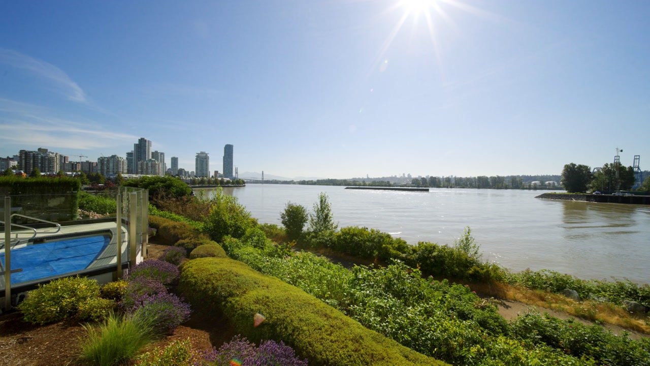 Bright daytime view of the Fraser River in New Westminster with calm water, green riverbank foliage, and distant urban skyline under clear blue skies.