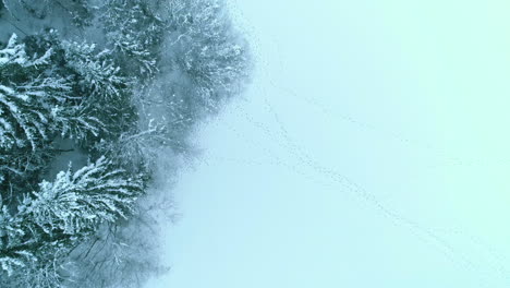 阿爾卑斯山的雪地 基茨布赫爾-因斯布魯克 奧地利 空中