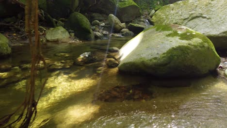 sunrays over river with mossy rocks and roots of vines