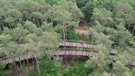 rotating shot of someone biking on the cycling through the trees track in belgium