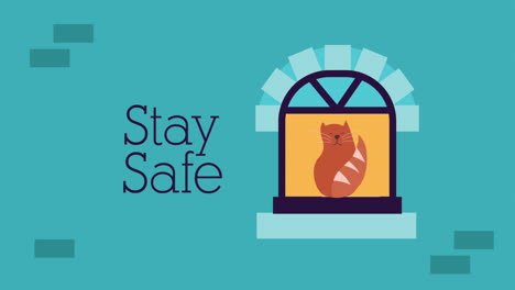 cat in apartment window stay home campaign