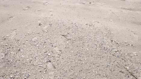 Sand,-small-driftwood,-and-broken-shells-with-foot-prints-on-beach-OCNJ