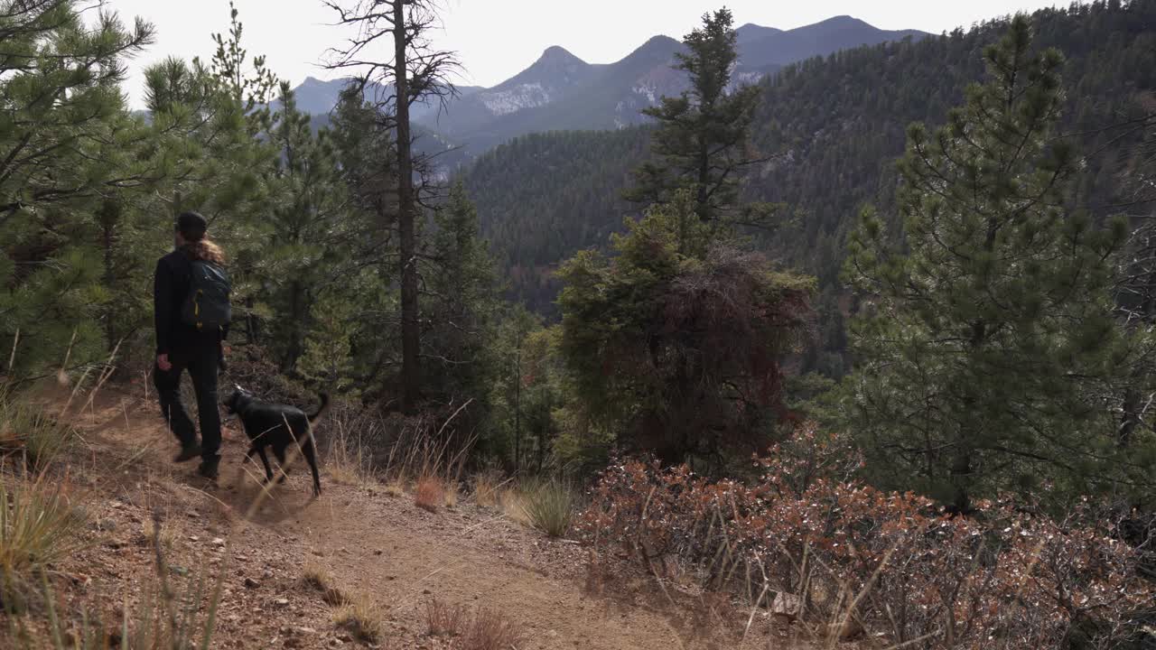 Ung mand med hestehale går tur med hund i snor på en bjergskovsti i Colorado.