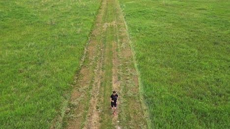 persona activa está corriendo en pistas en campos verdes en el paisaje rural