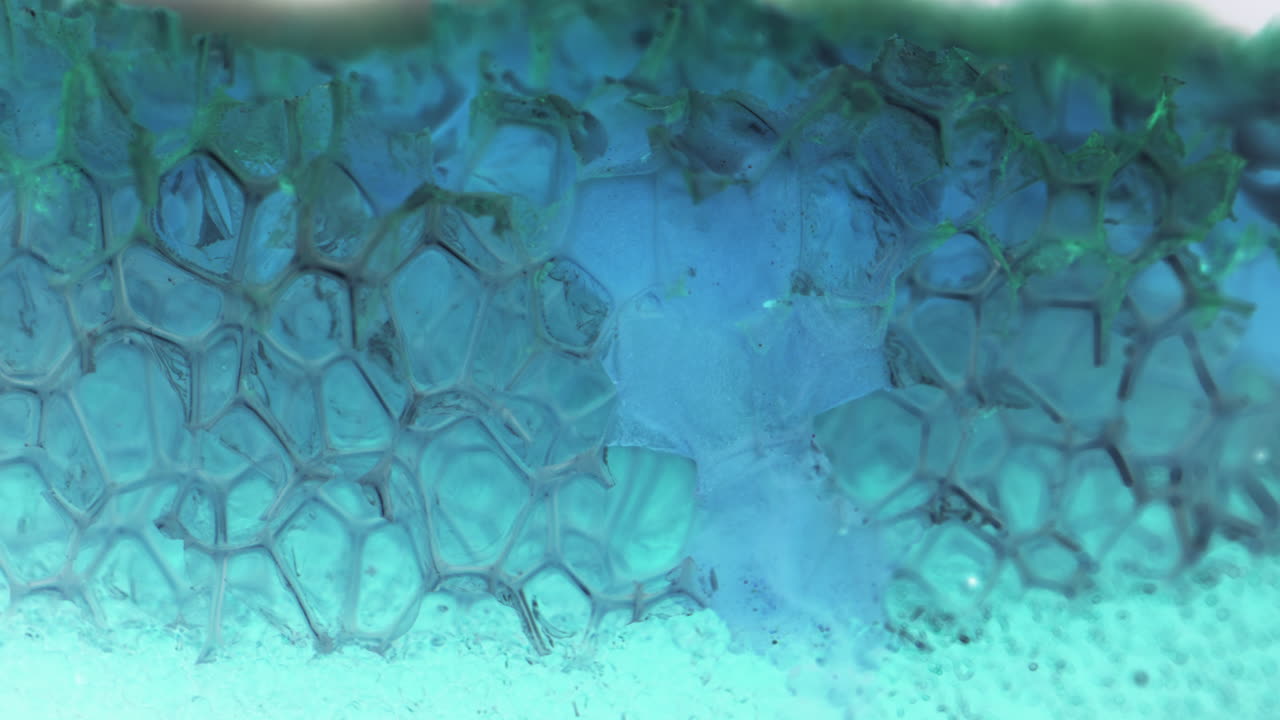 Macro Photography of a Honeycomb-Like Substance