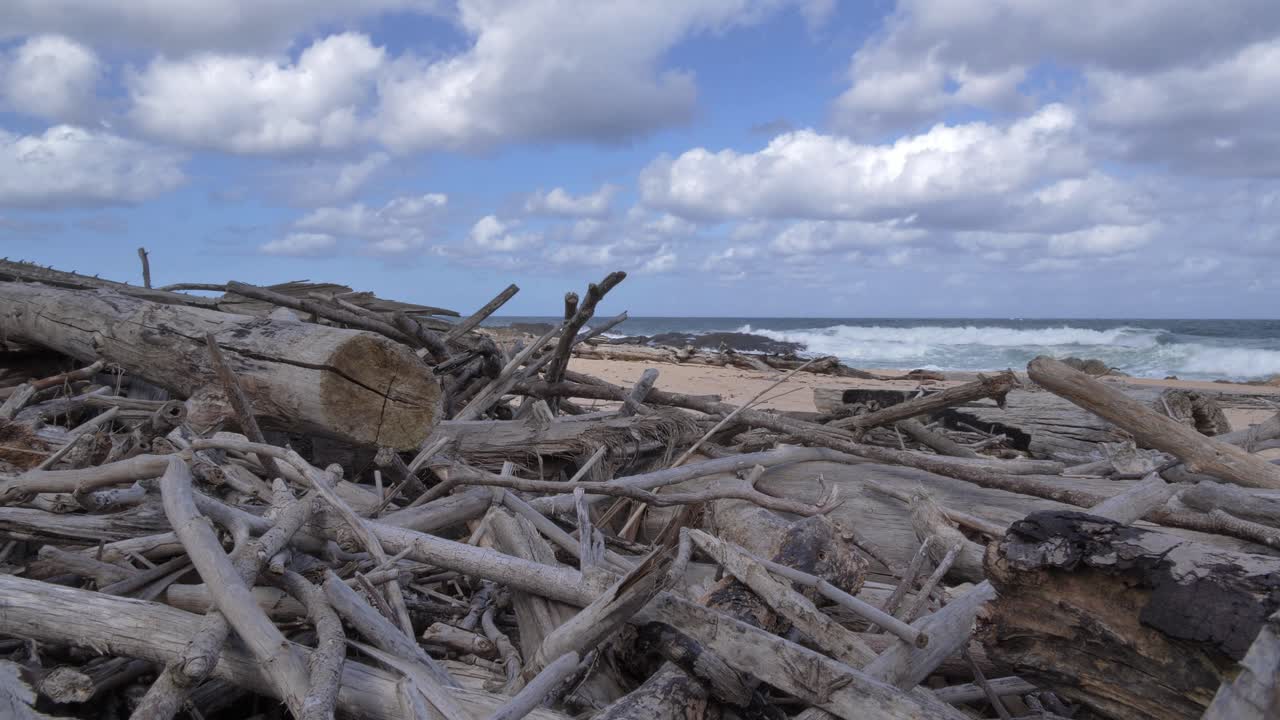Scenen skifter fra lys til skygge, mens en stor samling vejrbidt drivtømmer ligger spredt ud over en sandstrand, med havbølger der slår ind i baggrunden under en overskyet himmel ved Ramsgate