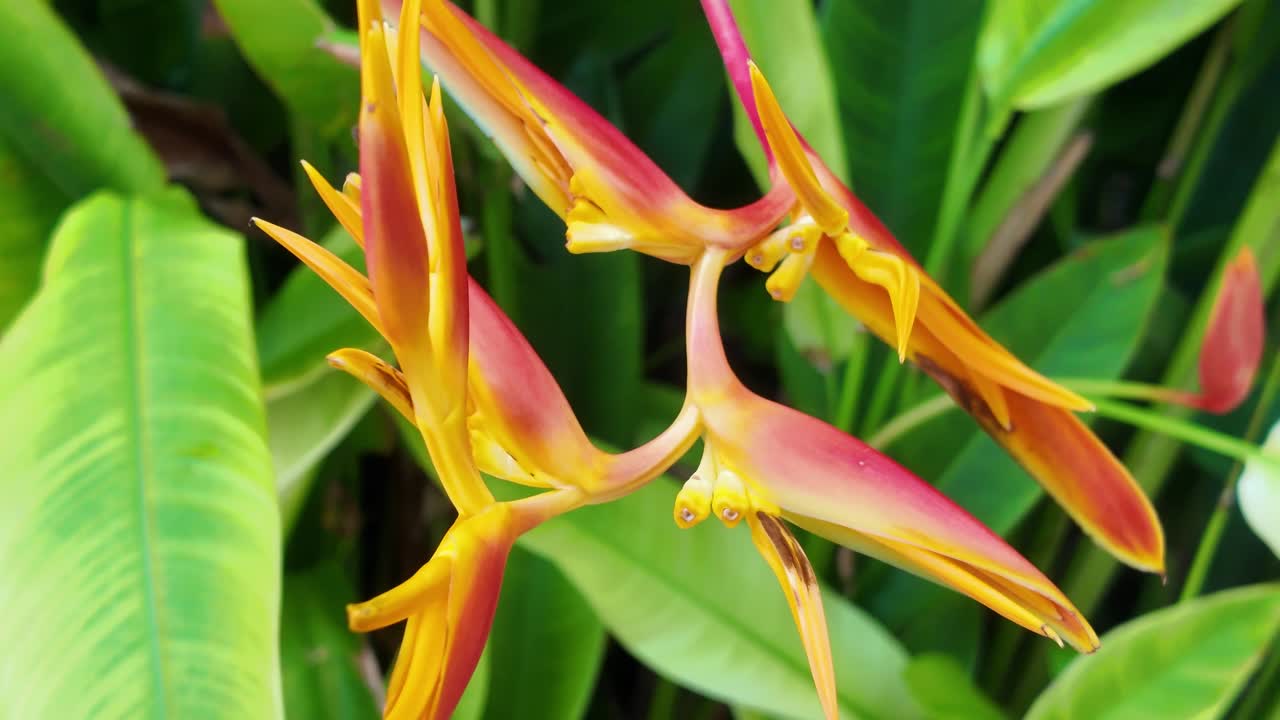 Experience luxury at its finest – stunning b-roll of our unforgettable Xcarte hotel stay. Tour the views, vibes, and elegance in every frame! #Travel #LuxuryHotel #Xcarte