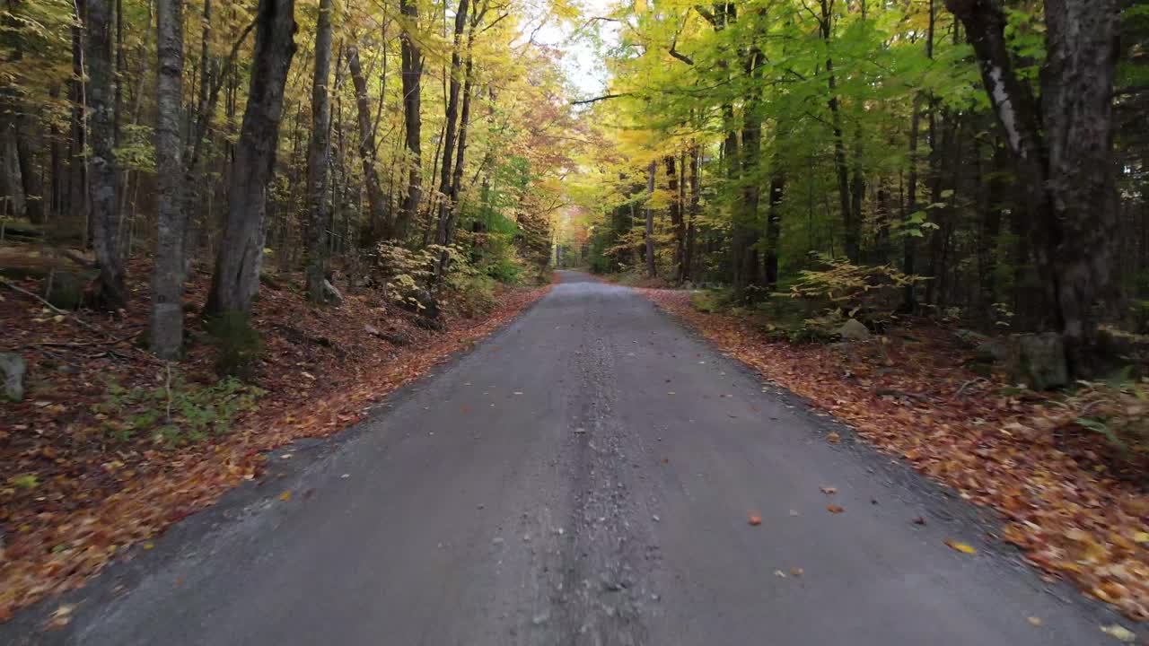 Percorrendo una strada sterrata secondaria nel New England a ottobre, con foglie cadenti.